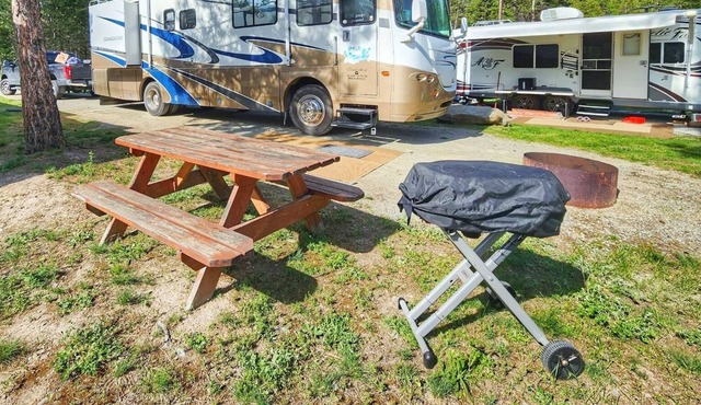 Glamping with Sasquatch