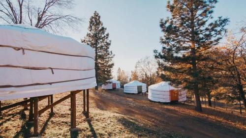 Glamping yurt at nature retreat in Sequoia NForest