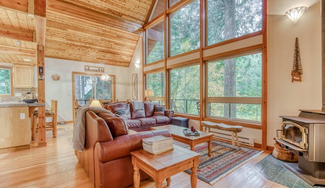 Gorgeous home with views of the river, fireplace, washer&dryer, & dog-friendly