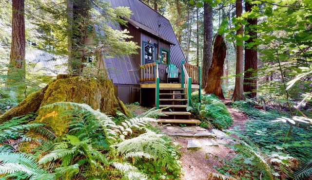 Hilda’s Briarwood Escape | A-frame in Rhododendron with fireplaces & forest view