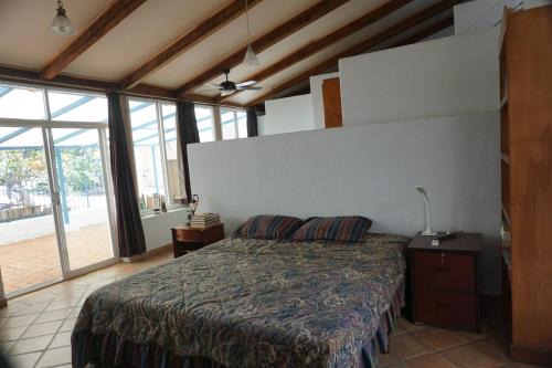 Large studio with private patio in Casa Cornucopia