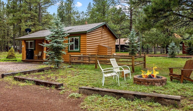 Lazy Trout Aspen Cabin
