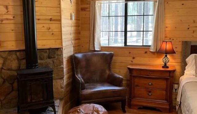 Luxe cabin getaway in the tall pines of Alpine AZ