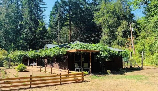 McKenzie Grapevine Hideaway—private mini villa