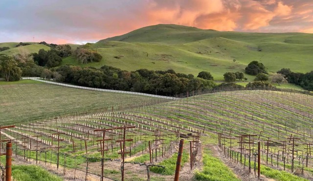 Mission Peak Ranch: Farm Stay