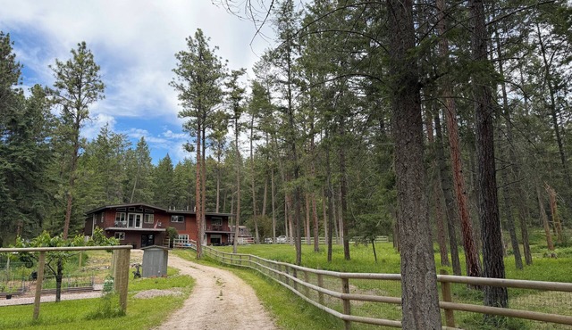 Montana Forest Retreat, Easy Walk to Flathead Lake, 1.5 Acres Fenced for Dogs!