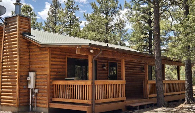 Nestled in the trees, family cabin room for 8, cool summer getaway. Near lakes!