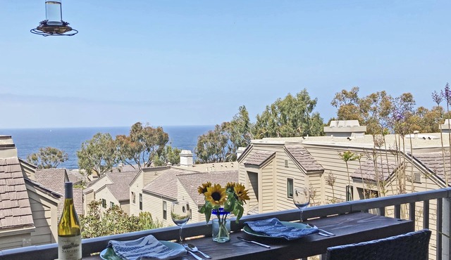 Ocean, sunset views, penthouse 2 bedrooms condo, steps to beaches and village.