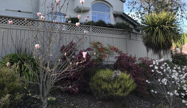 One level house near hiking trails