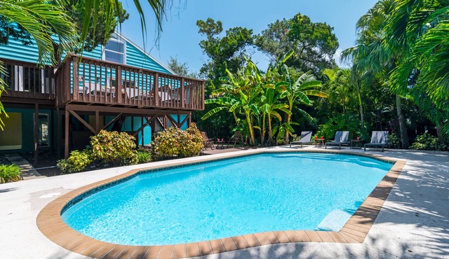 Palm Paradise - Pet Friendly Home on Siesta Key w/Large Heated Private Pool & Outdoor Area! in Sarasota
