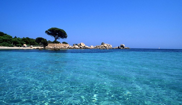Palombaggia, Seaside, Very Pretty House