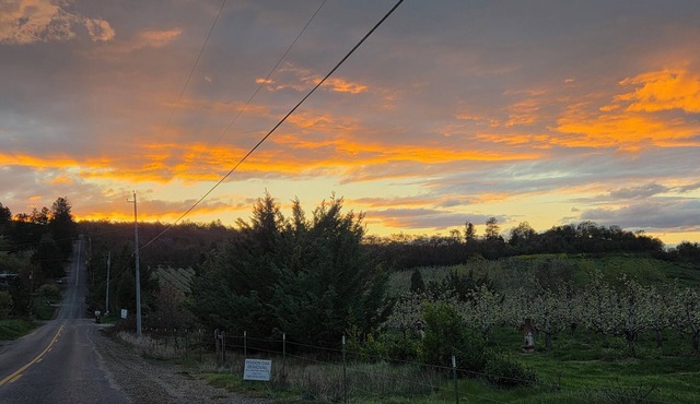 Prickly Pear Country Cottage - 4BR Farm Retreat Near Ashland & Wineries