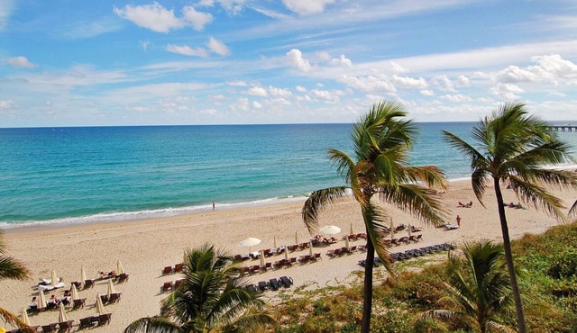 Pristine Oceanfront Accommodation! Garden View Unit w/ 2 Queen Beds | Pool in Palm Beach
