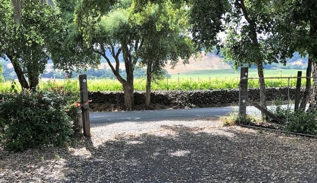 Secluded Cottage, With Vineyard View, Sleeps Six, Great Location!