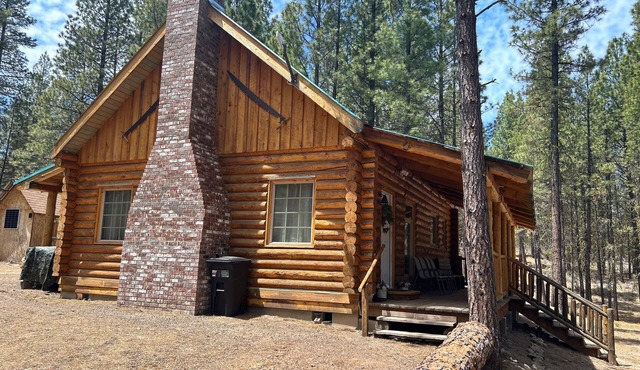Secluded Log Cabin Bordering National Forest - 45 Minutes to Crater Lake