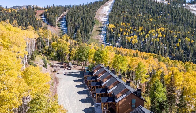 Ski In/Out Condo at Eagle Point Resort, Sleeps 10, Fast WiFi, Remodeled
