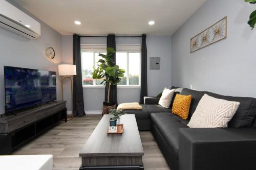 Spacious 3 Bedroom 2 Bathroom Apartment with Free Onsite Parking
