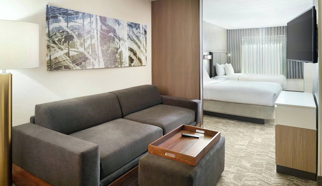 Springhill Suites By Marriott Atlanta Six Flags