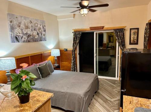 Studio Phoenix Pet Friendly Near Black Sand Beach & Volcanic Forest in Pahoa
