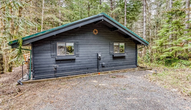 Stylish Home with Deck, Private Hot Tub, W/D, Firepit, Forest Views, Free WiFi