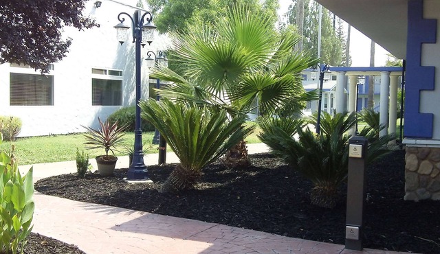 SureStay Plus Hotel by Best Western Sacramento Cal Expo