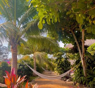 Troncones Point Hostel in Troncones