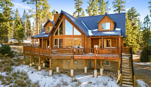 Trophy Room Retreat - Large Lodge Sleeps up to 15