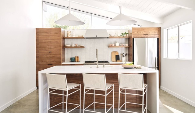 Twin Palms - Mid-Century Modern Alexander Home
