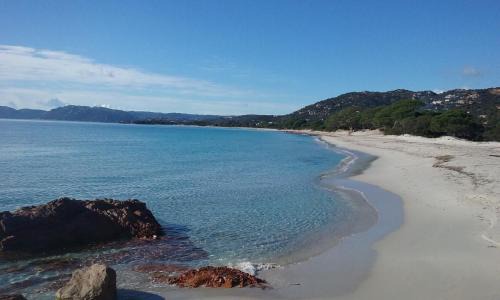 Villa pour4 pers à 700m de la plage de palombaggia