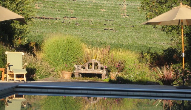 Vineyard FarmStay w/Heated Pool from May-Oct.