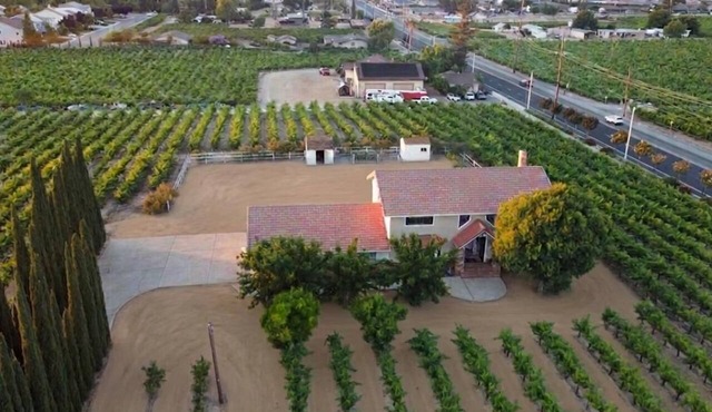 Vintage Vineyard Estate