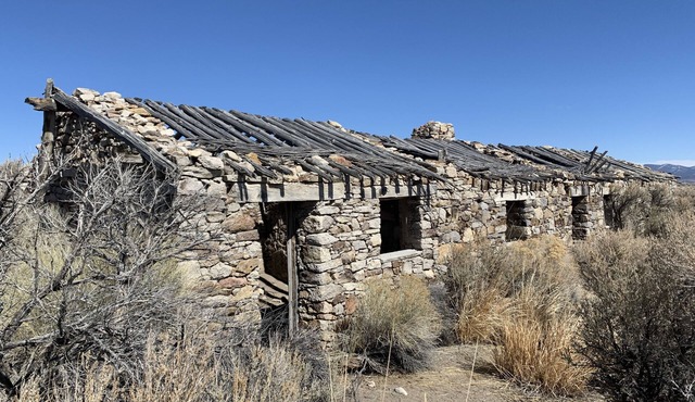 Wild West charm with a modern flair!