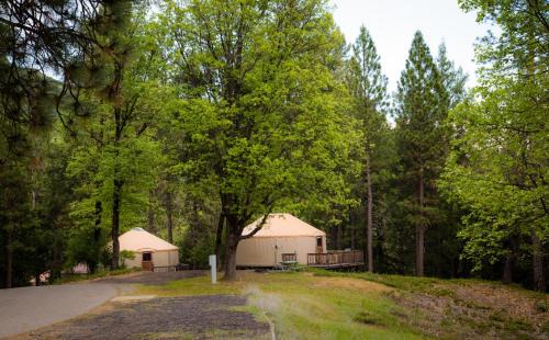 Yosemite Lakes Yurts