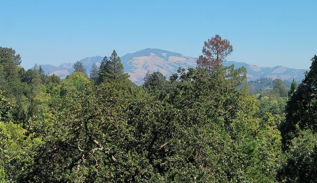 Zen Garden Getaway w/ Mountain View