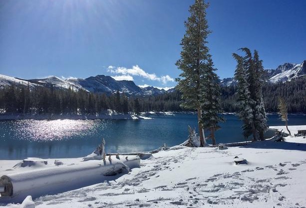 Aspen Creek #204