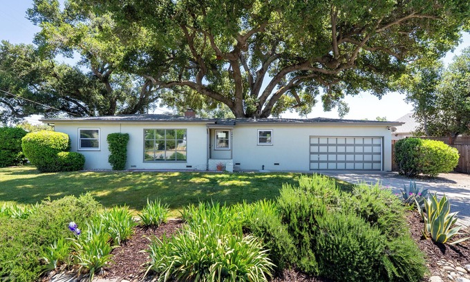 Paso Robles House | Great-Granddaddy's Oak Invites You into Downtown Paso Robles and Relaxation