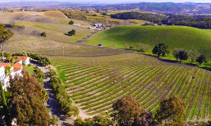 Templeton House | Luxury Estate in California Wine Country