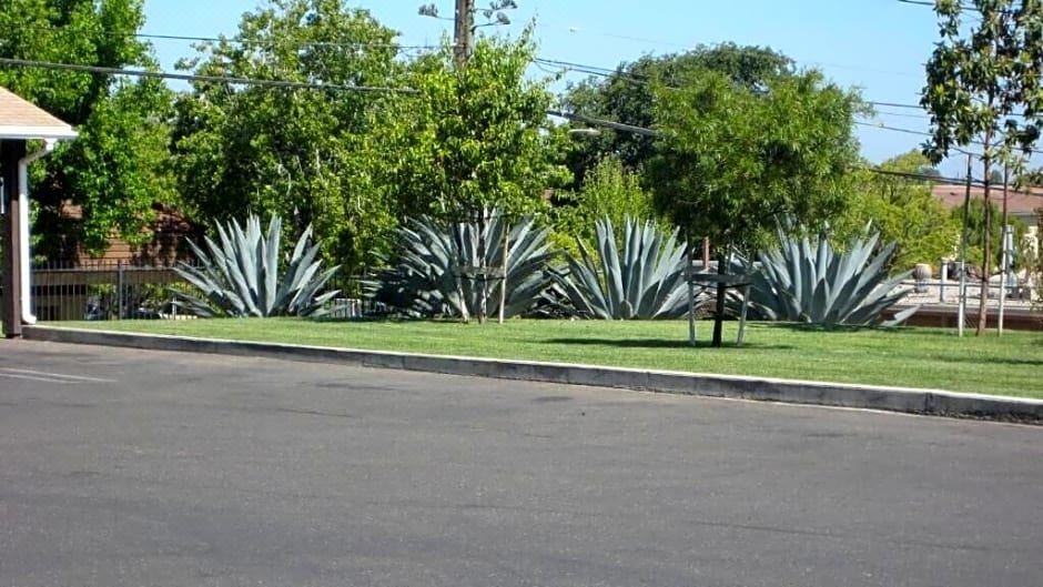 Photo of Others in Santa Maria