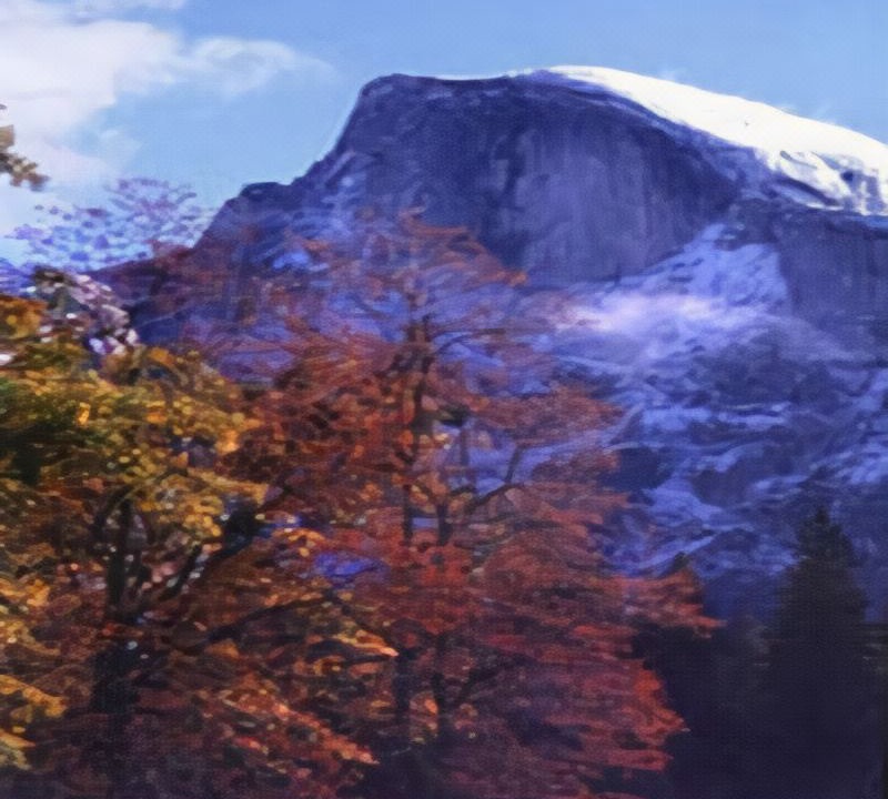 Photo of Outdoor in Raisin