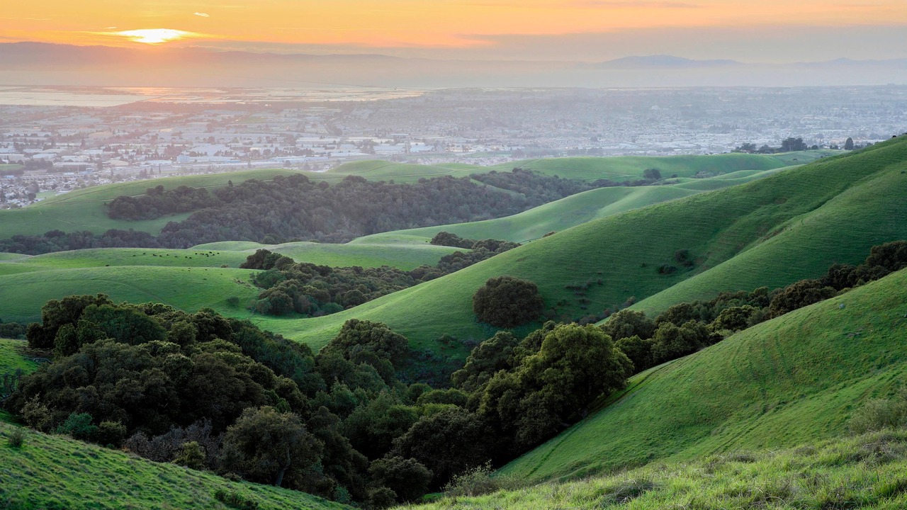 Photo of Outdoor in San Ramon
