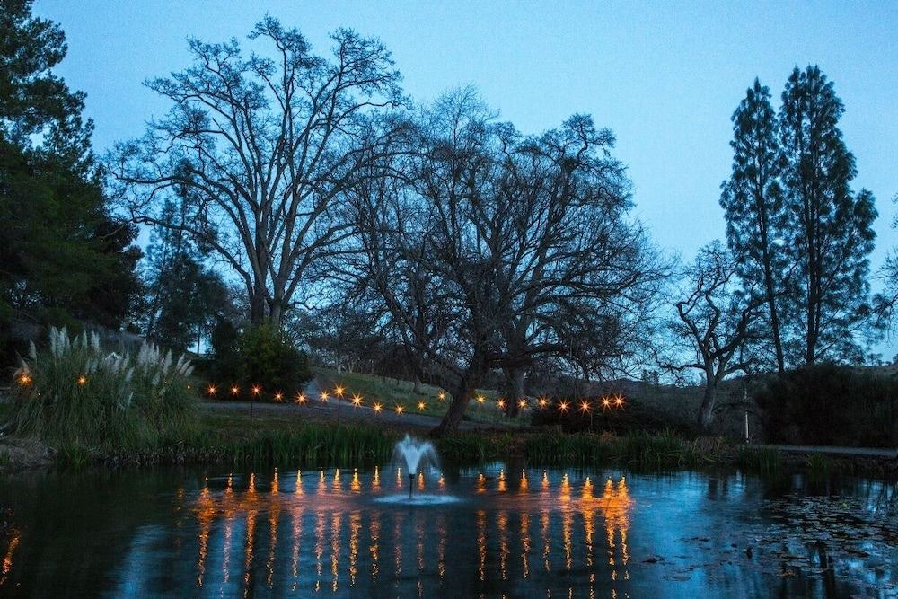 Photo of Outdoor in Clear Lake