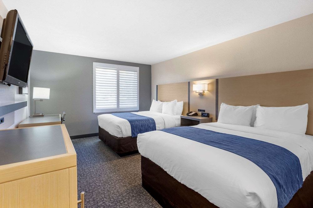 Photo of Bedroom in Miramar