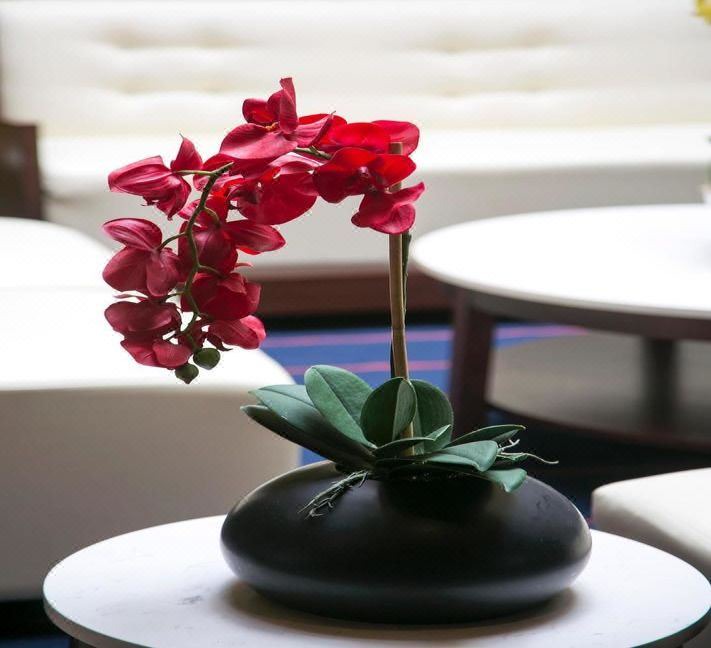 Photo of Livingroom in La Playa