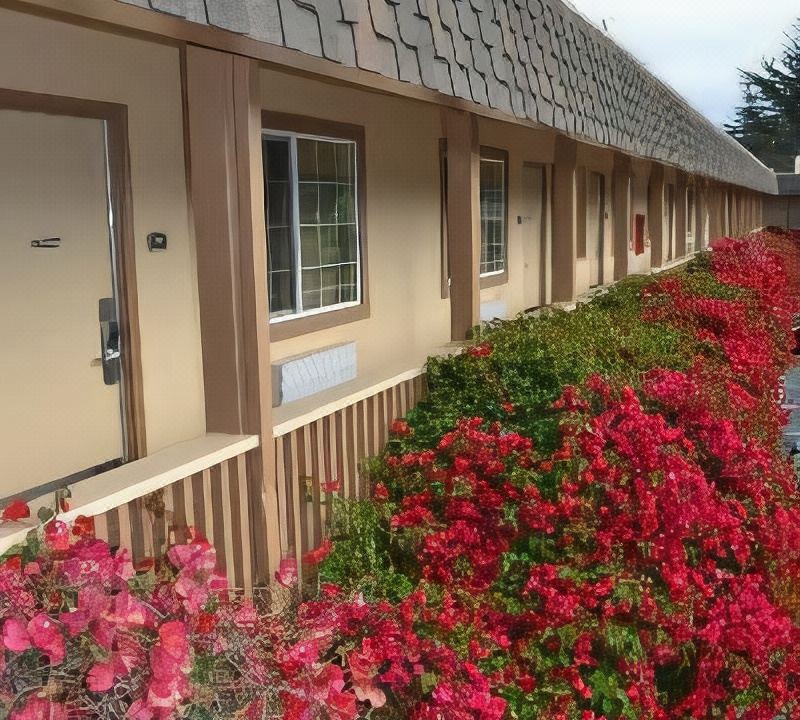 Photo of Buildings in Downtown Monterey