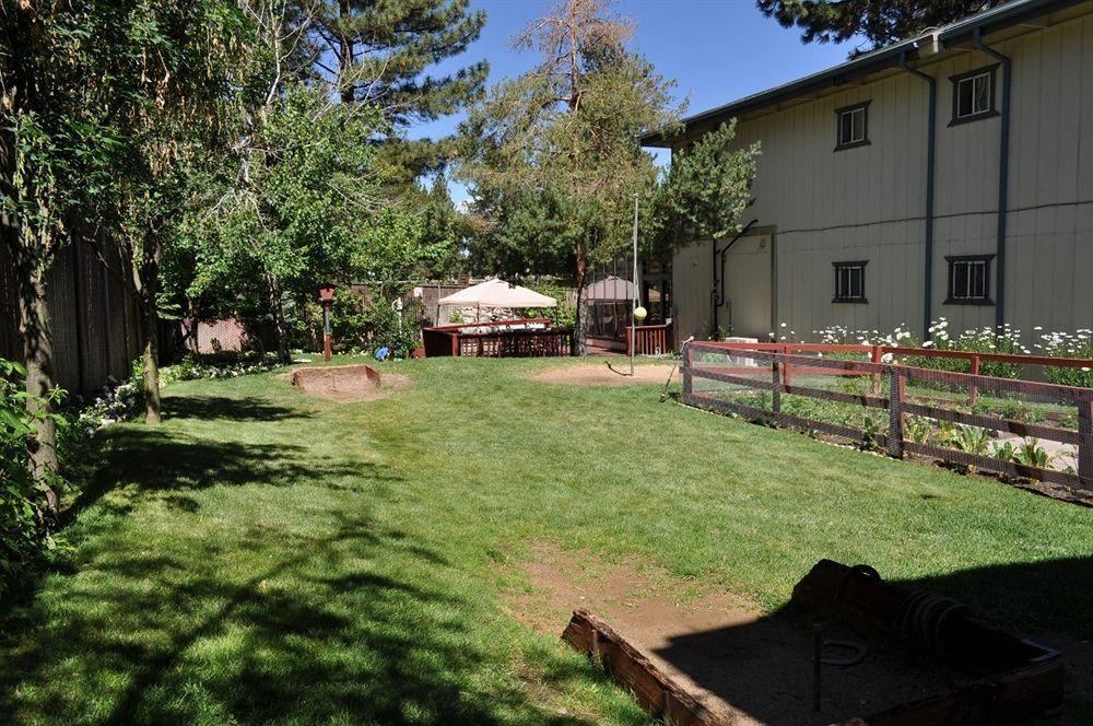 Photo of Buildings in South Lake Tahoe