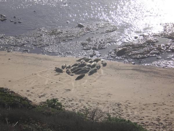 Photo of Outdoor in Moss Beach