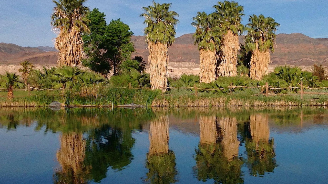 Photo of Outdoor in Shoshone