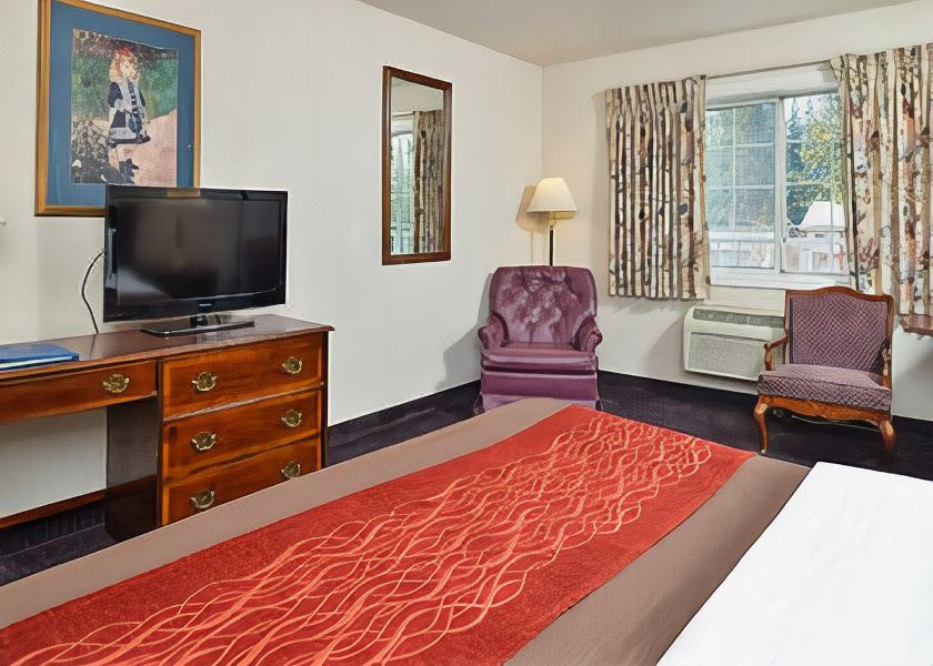 Photo of Livingroom in Weed