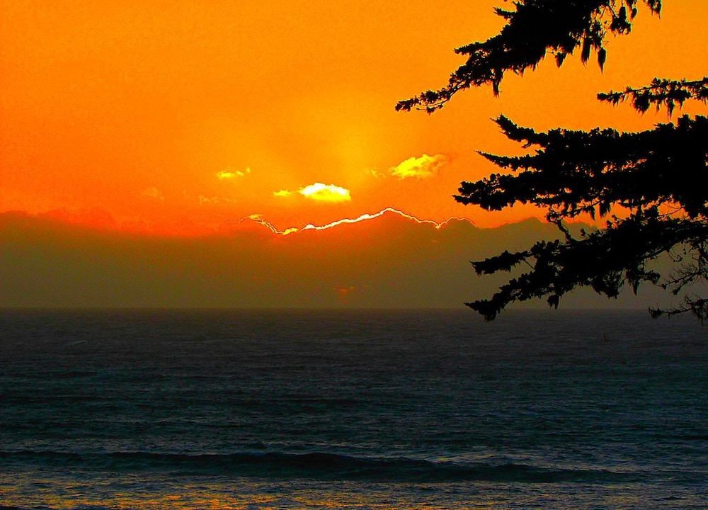 Photo of Outdoor in Point Arena