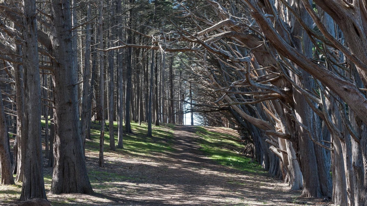 Photo of Buildings in Moss Beach